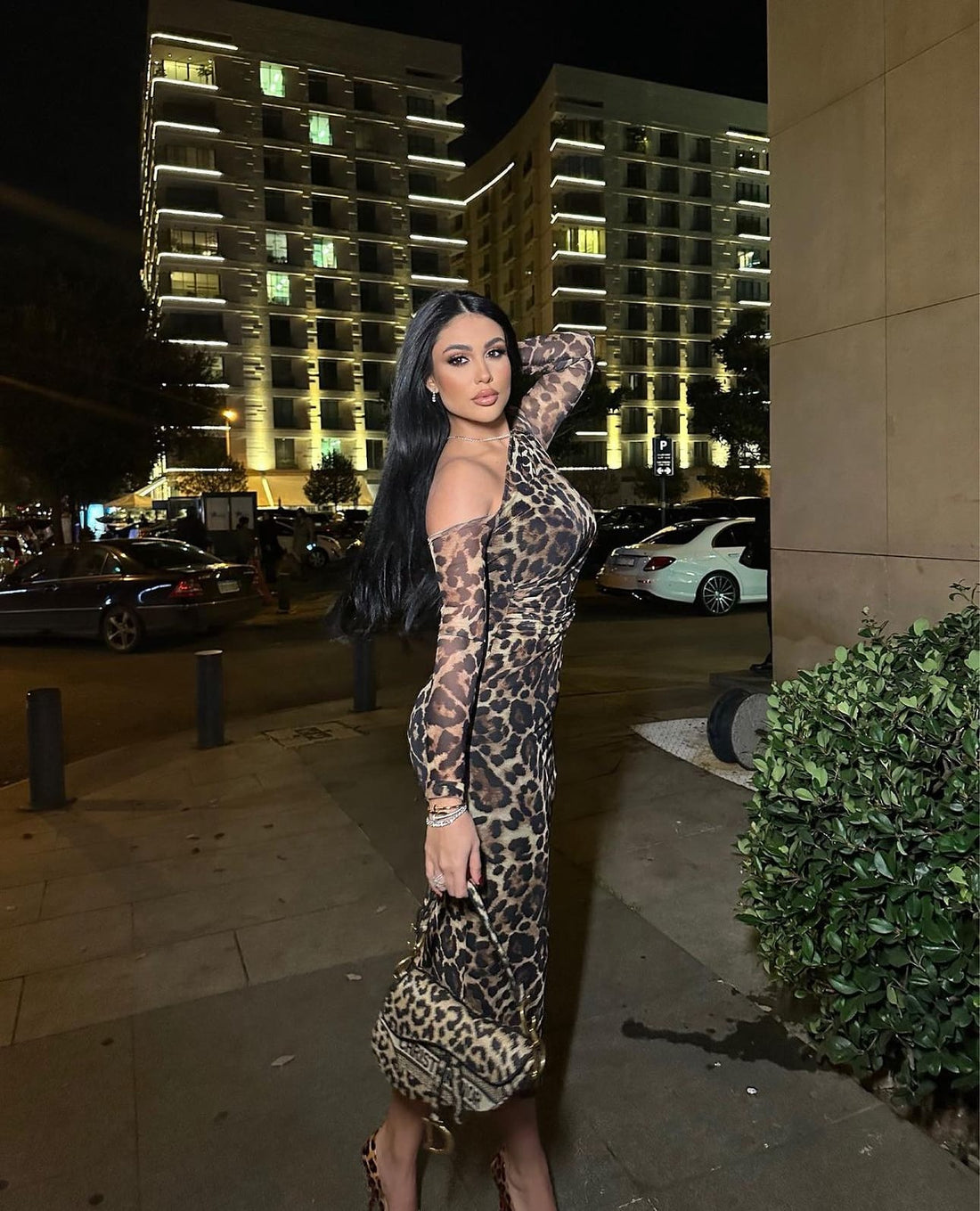 tiger printed dress